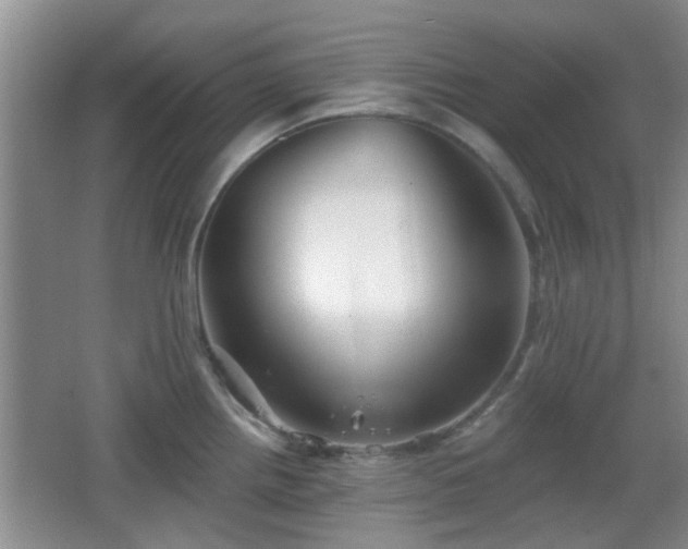 X0000065991242200603061249