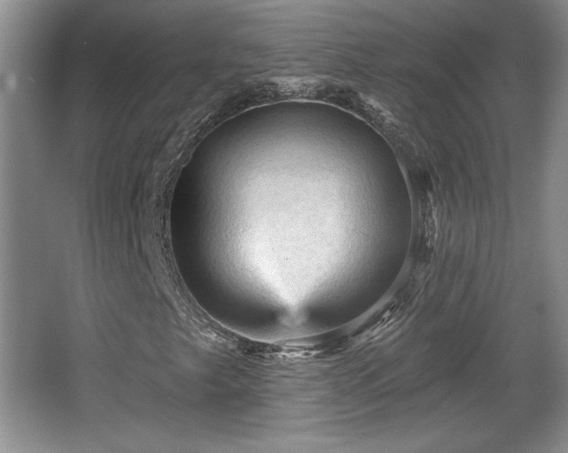X0000065991249200603061248