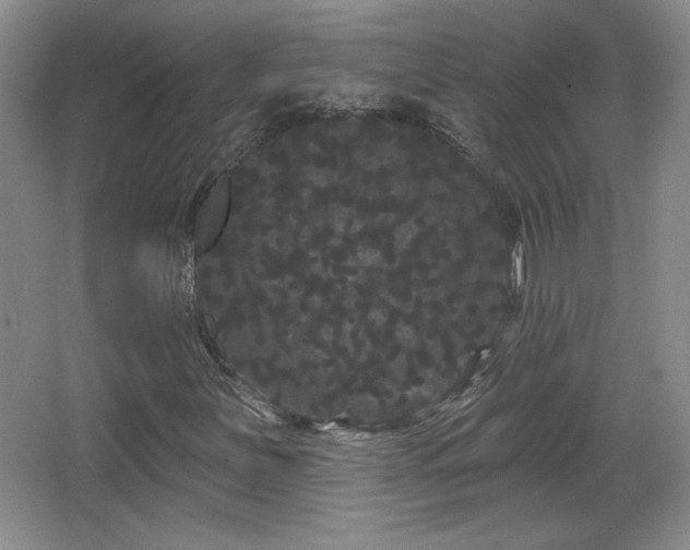 X0000065991251200603061248
