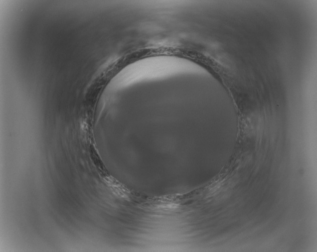 X0000065991254200603061248
