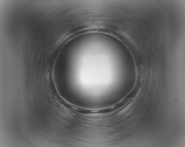 X0000065991257200603061248