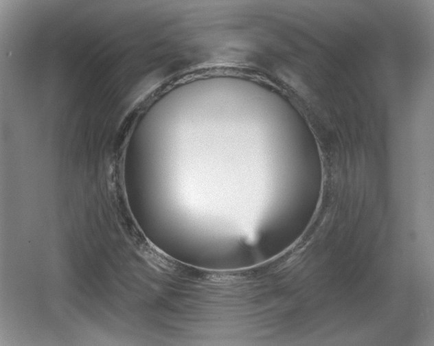 X0000065991258200603061248