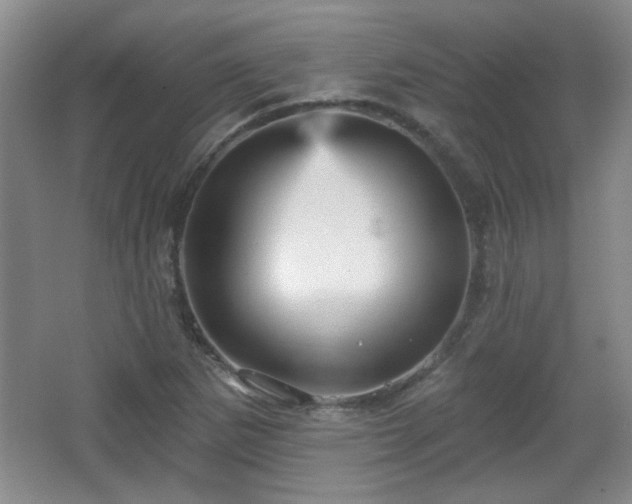 X0000065991265200603061248