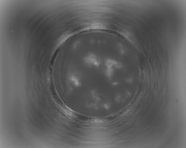 X0000065991266200603061248