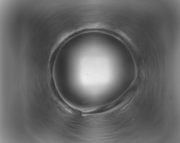 X0000065991270200603061248