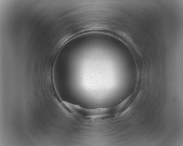 X0000065991273200603061248
