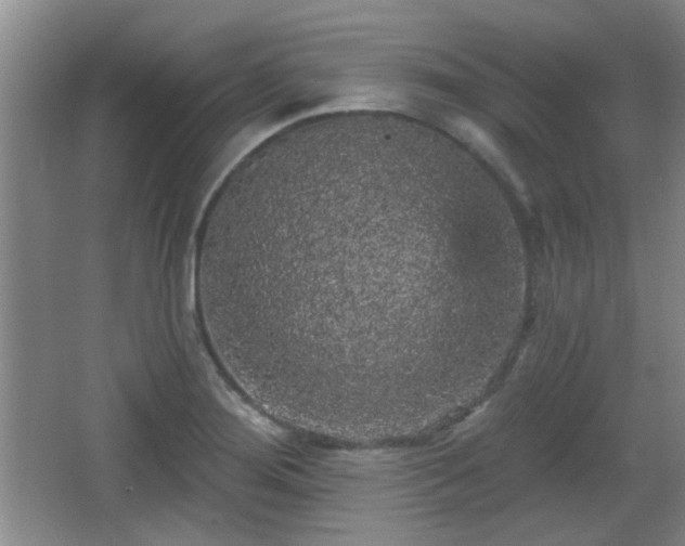 X0000065991276200603061248