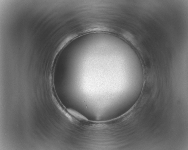 X0000065991282200603061248