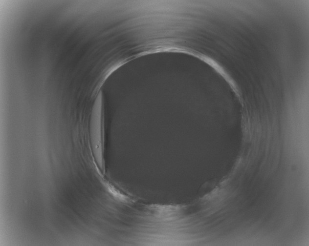 X0000065991289200603061248