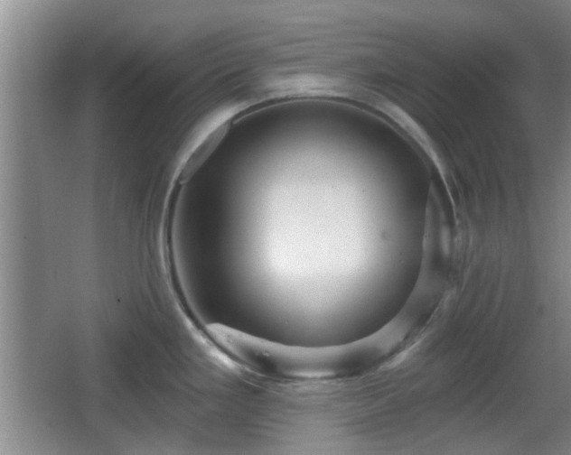 X0000065991293200603061248