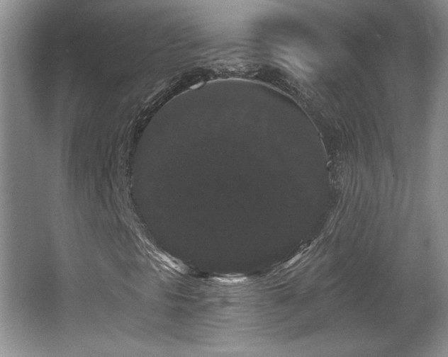 X0000065991297200603061247