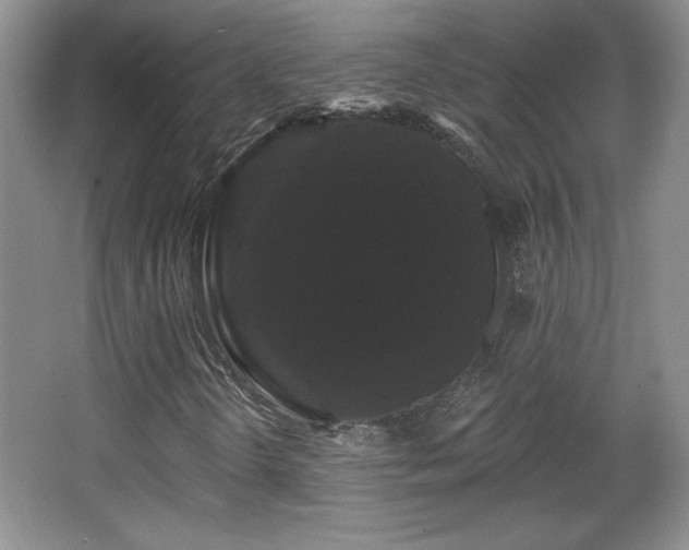 X0000065991298200603061247