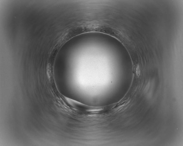 X0000065991299200603061247