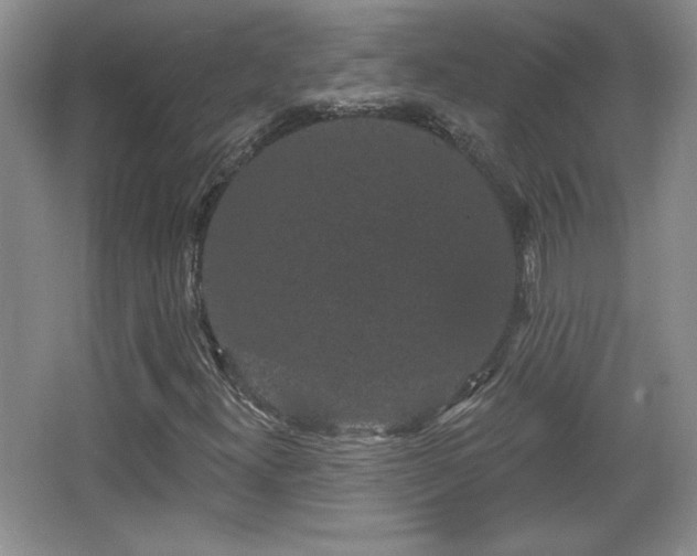 X0000065991300200603061247