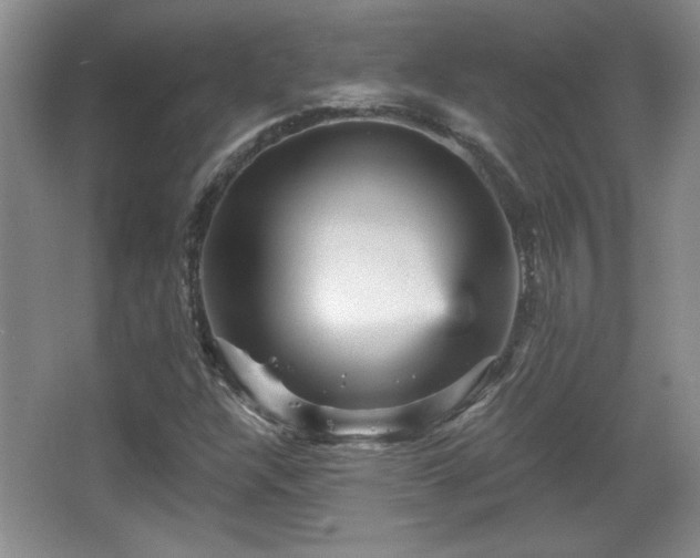 X0000065991304200603061247