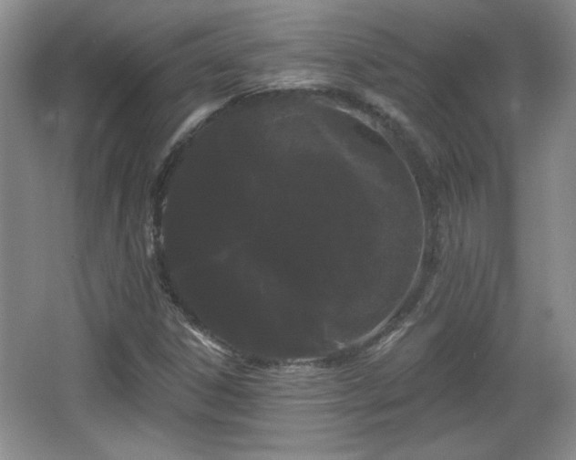 X0000065991306200603061247