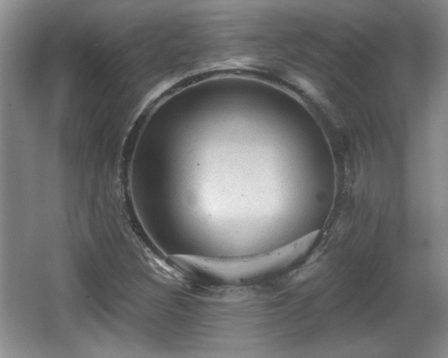 X0000065991308200603061247