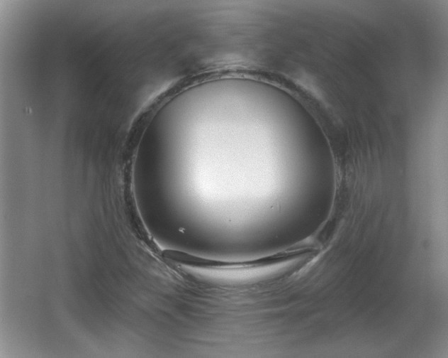X0000065991309200603061247