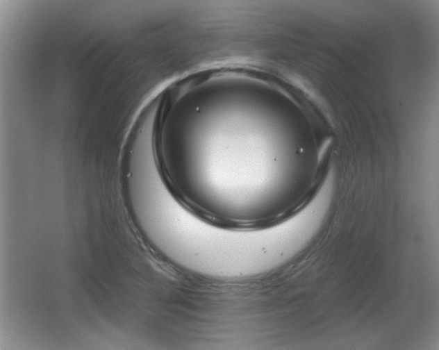 X0000065991316200603061247