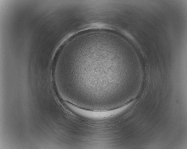 X0000065991318200603061247