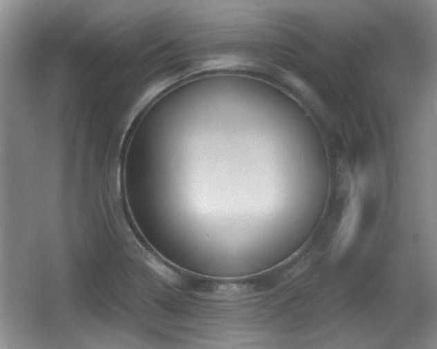 X0000065991322200603061247