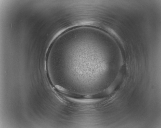 X0000065991324200603061247
