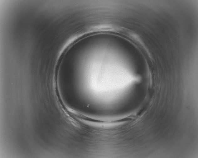 X0000065991328200603061247