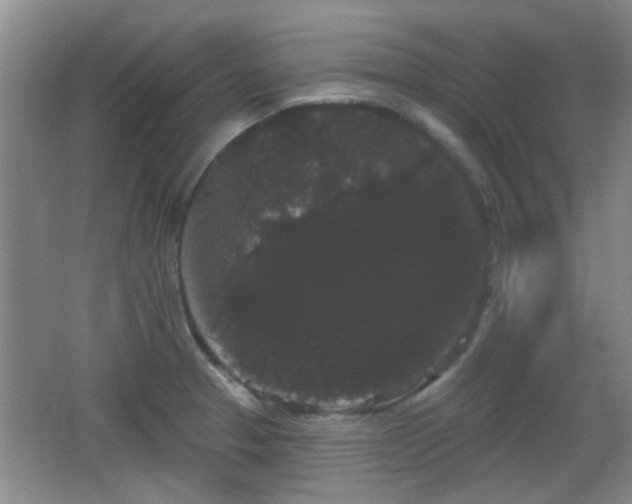 X0000065991329200603061247