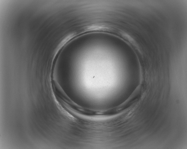 X0000065991330200603061247