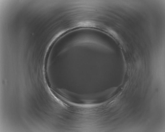 X0000065991331200603061247