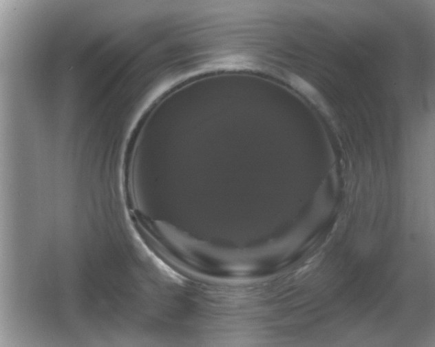 X0000065991334200603061247