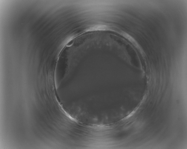 X0000065991337200603061247