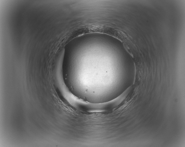 X0000065991345200603061247