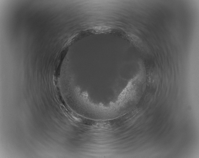 X0000065991346200603061247