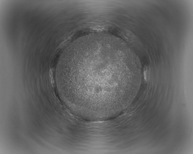 X0000065991347200603061247