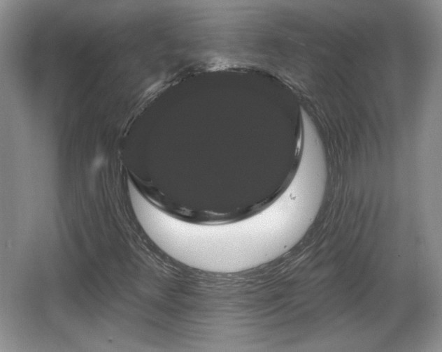 X0000065991348200603061247