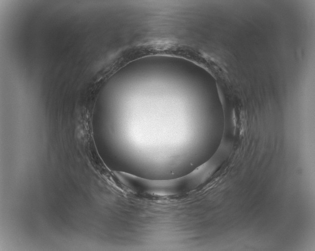X0000065991349200603061247