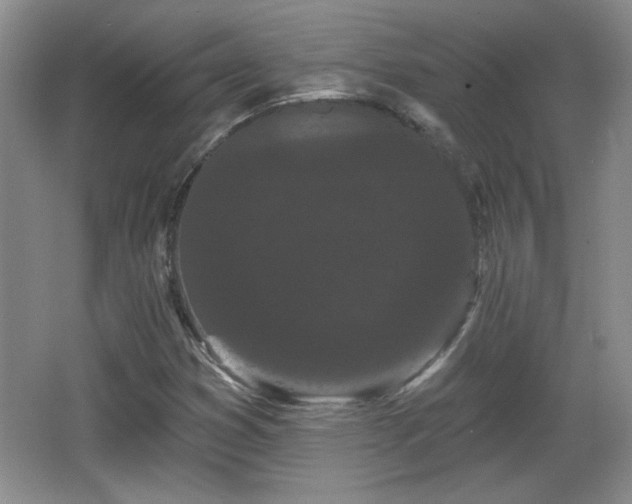 X0000065991353200603061247
