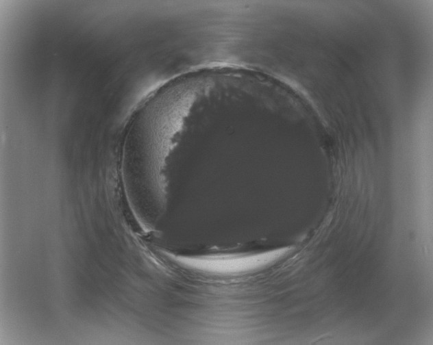 X0000065991359200603061246