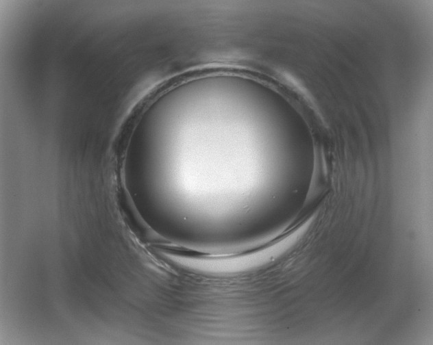 X0000065991360200603061246