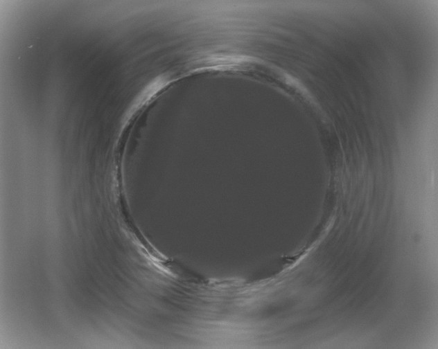 X0000065991362200603061246