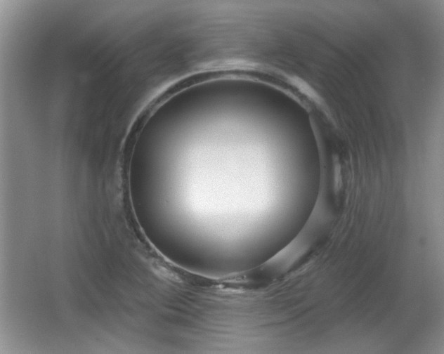 X0000065991364200603061246