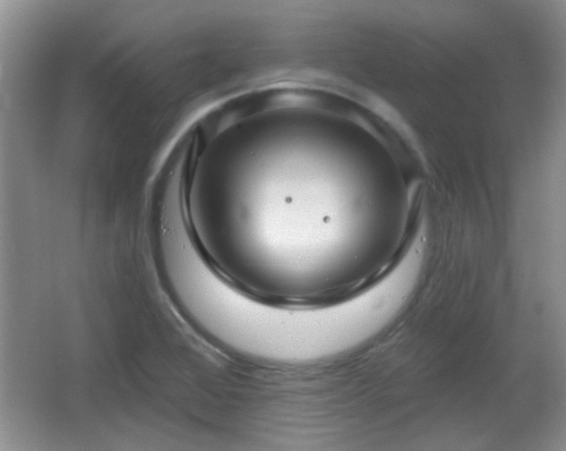 X0000065991368200603061246