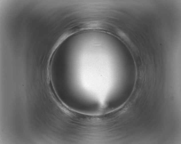 X0000065991370200603061246