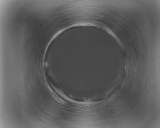 X0000065991372200603061246