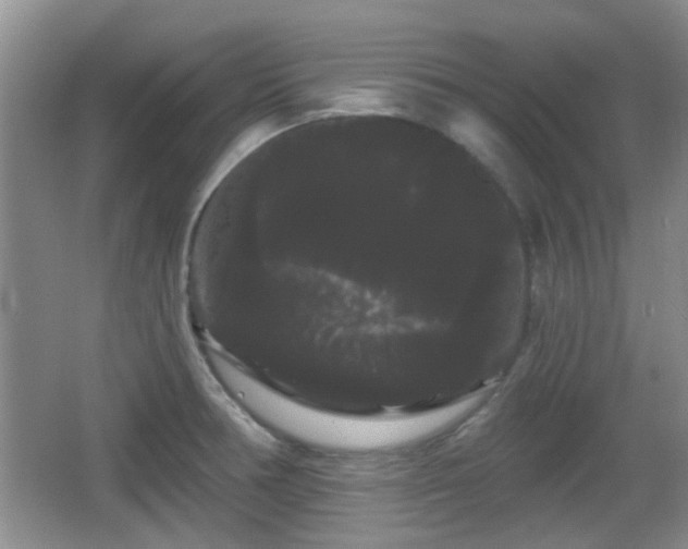 X0000065991378200603061246
