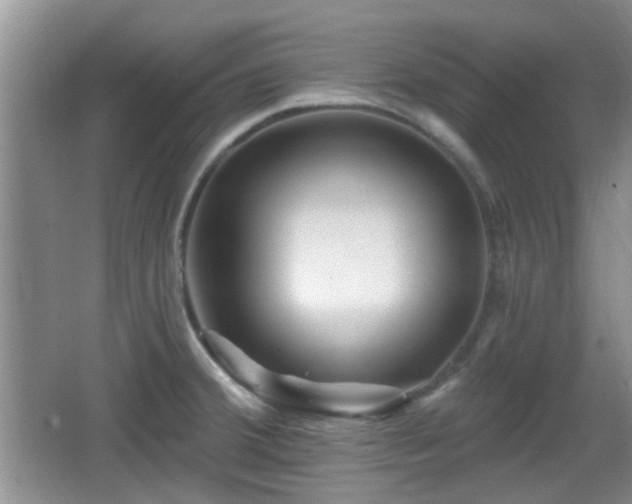 X0000065991380200603061246