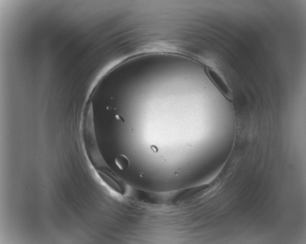 X0000065991387200603061246
