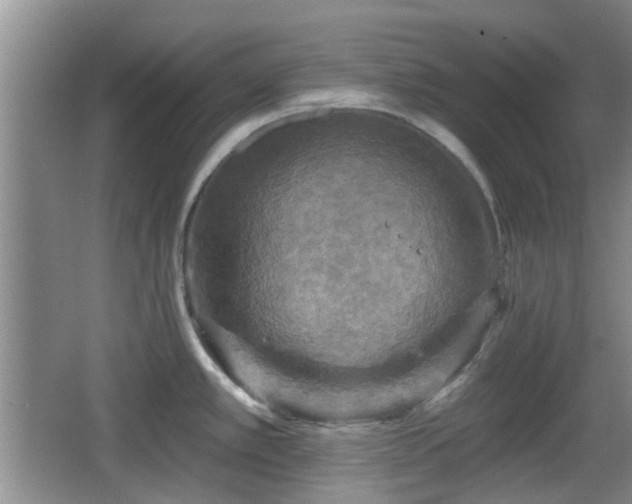 X0000065991389200603061246