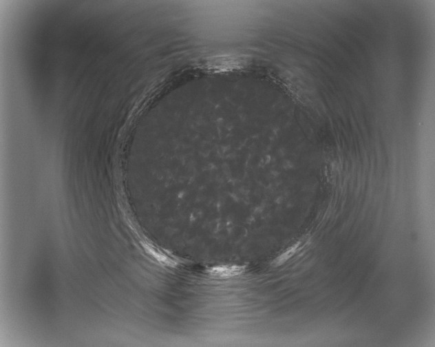 X0000065991393200603061245